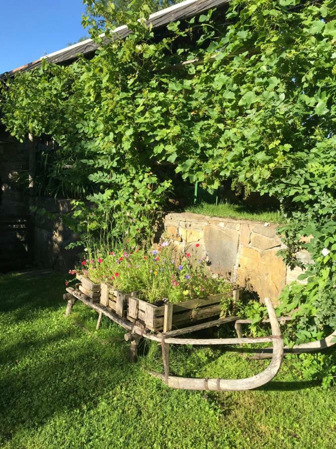Appartement Traunseeferien Altmuenster Bagian luar foto